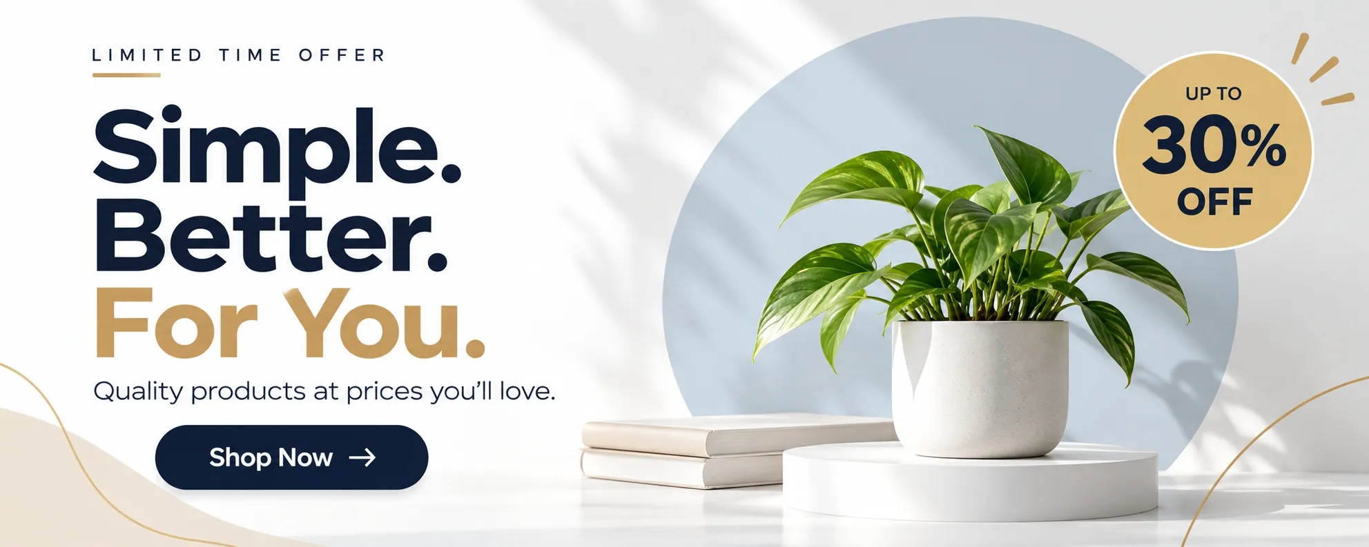 Minimal Promotional Banner